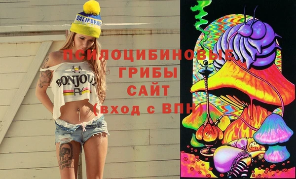 2c-b Богданович