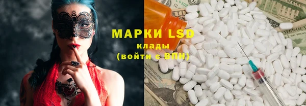 прущие грибы Богородицк