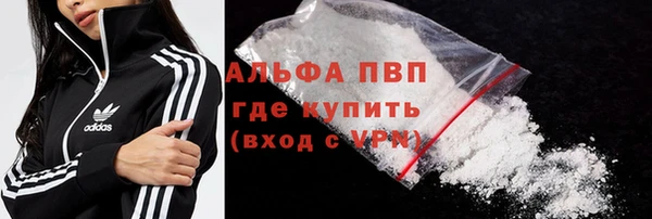 прущие грибы Богородицк