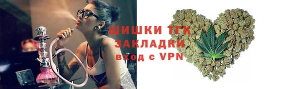 прущие грибы Богородицк