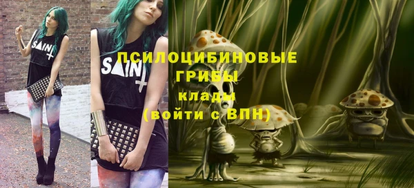 прущие грибы Богородицк