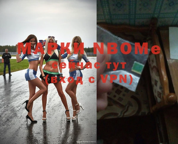 прущие грибы Богородицк